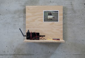 Fernando García-Dory, Bionic Sheep, 2006.
