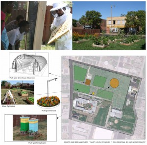 Juan William Chavez, Pruitt-Igoe Bee Sanctuary: Living Proposal, 2012