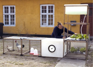 Pelle Bragge and N55, Small Truck, 2005
